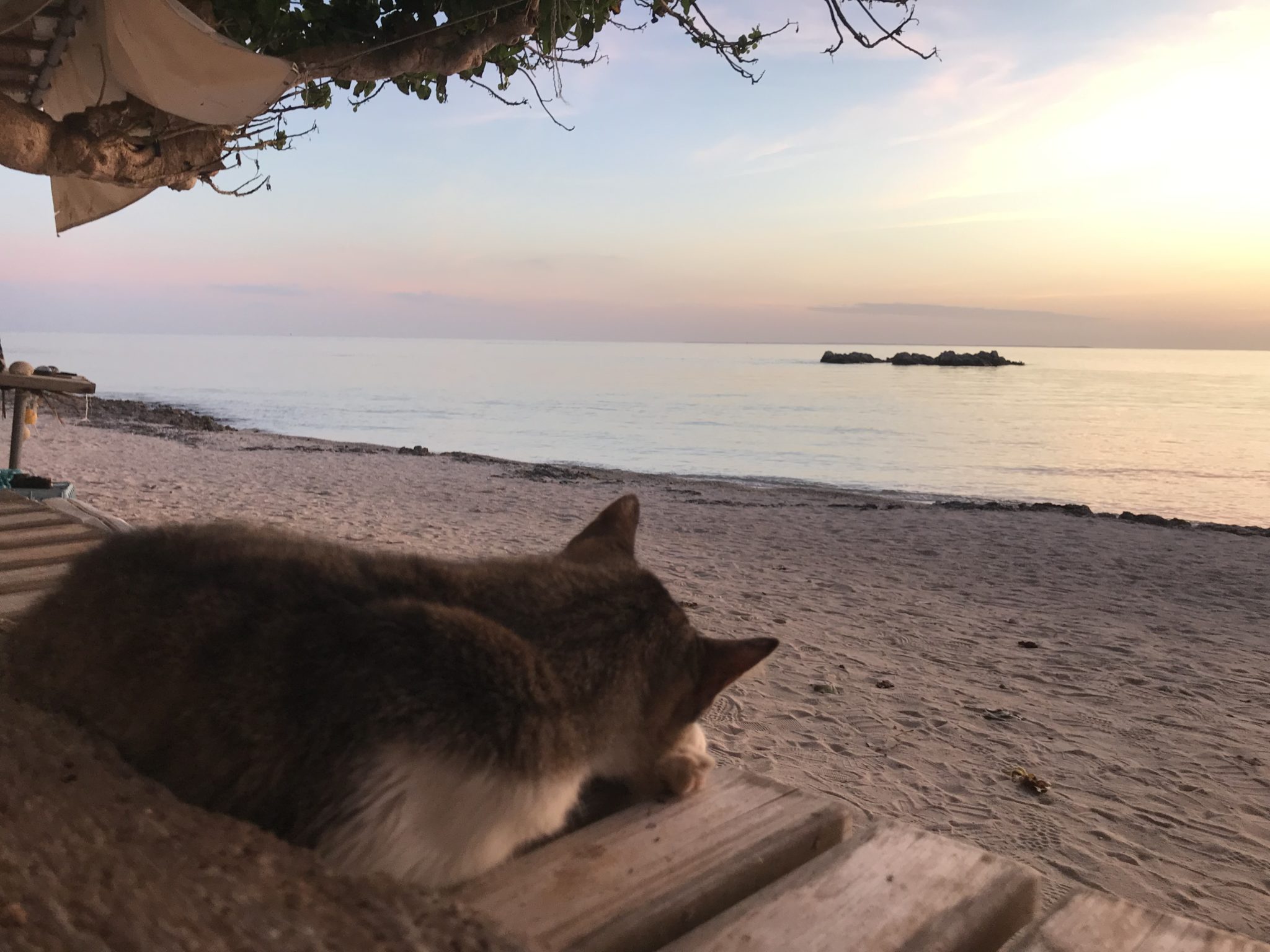 2018-11-21 18.05.55-1