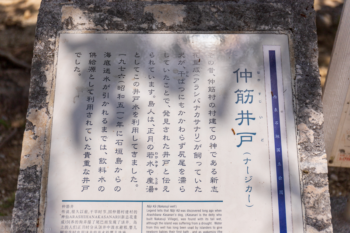 a_nakasuji
