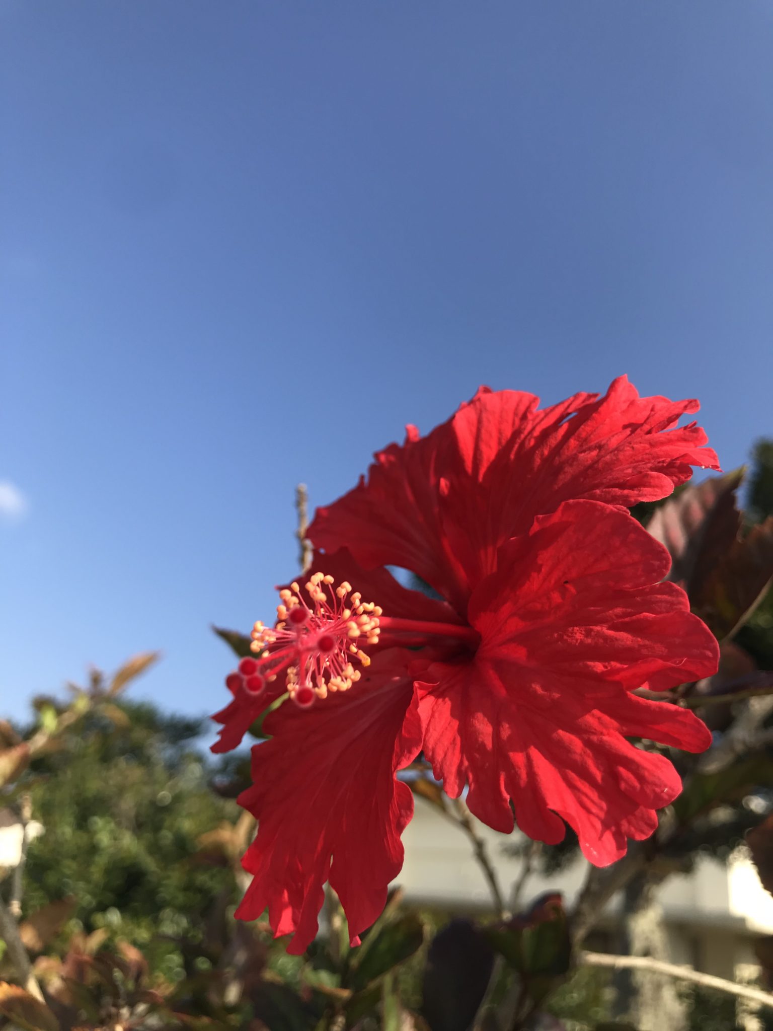 写真 2018-02-27 9 08 31