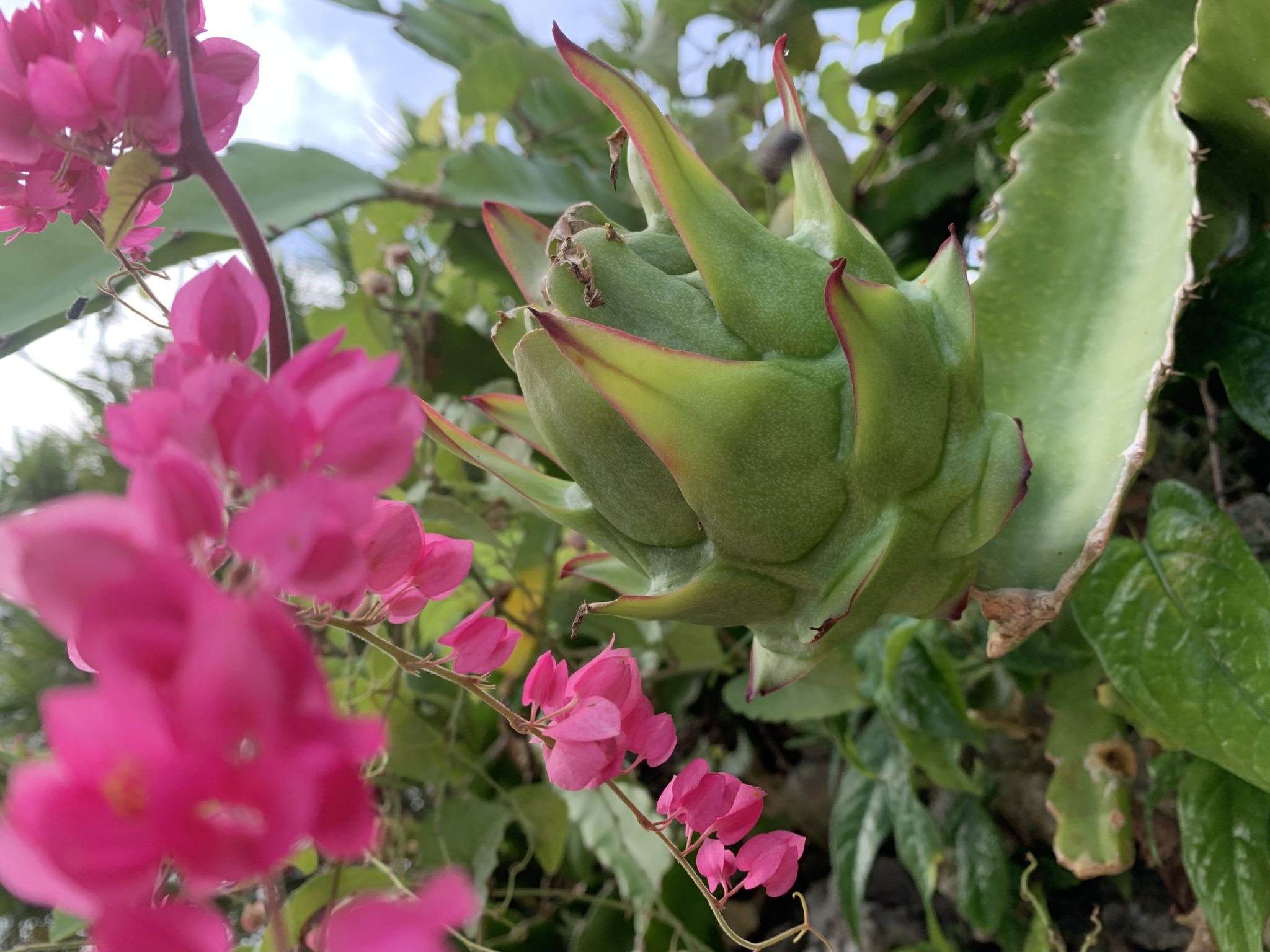2019-06-09 10.46.37