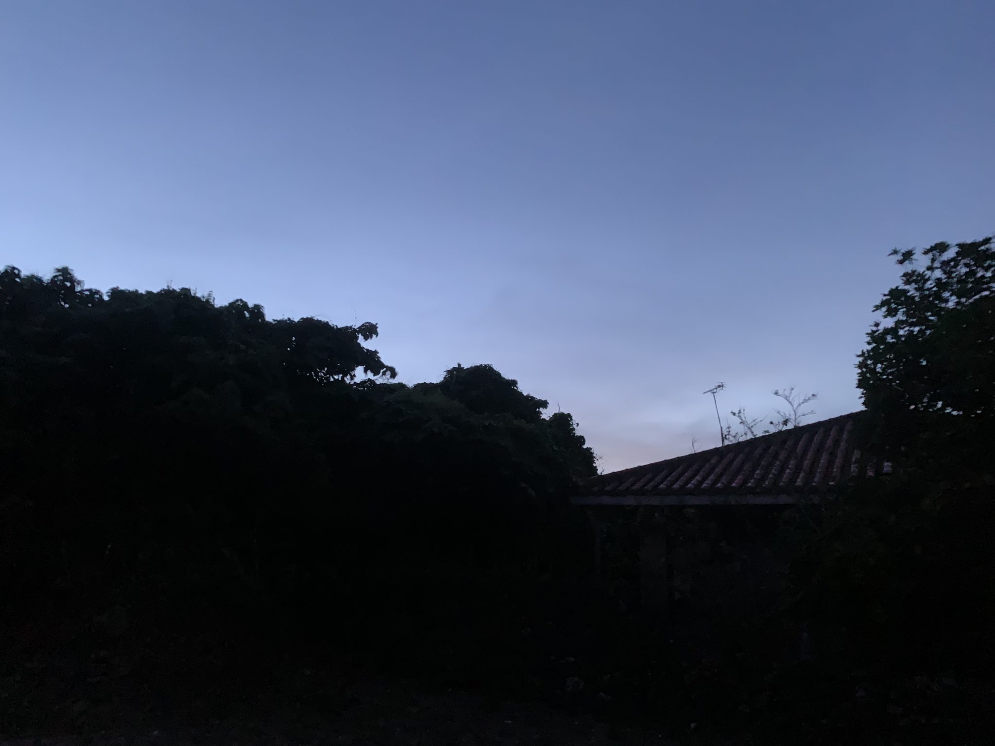 2019-06-21 05.26.02