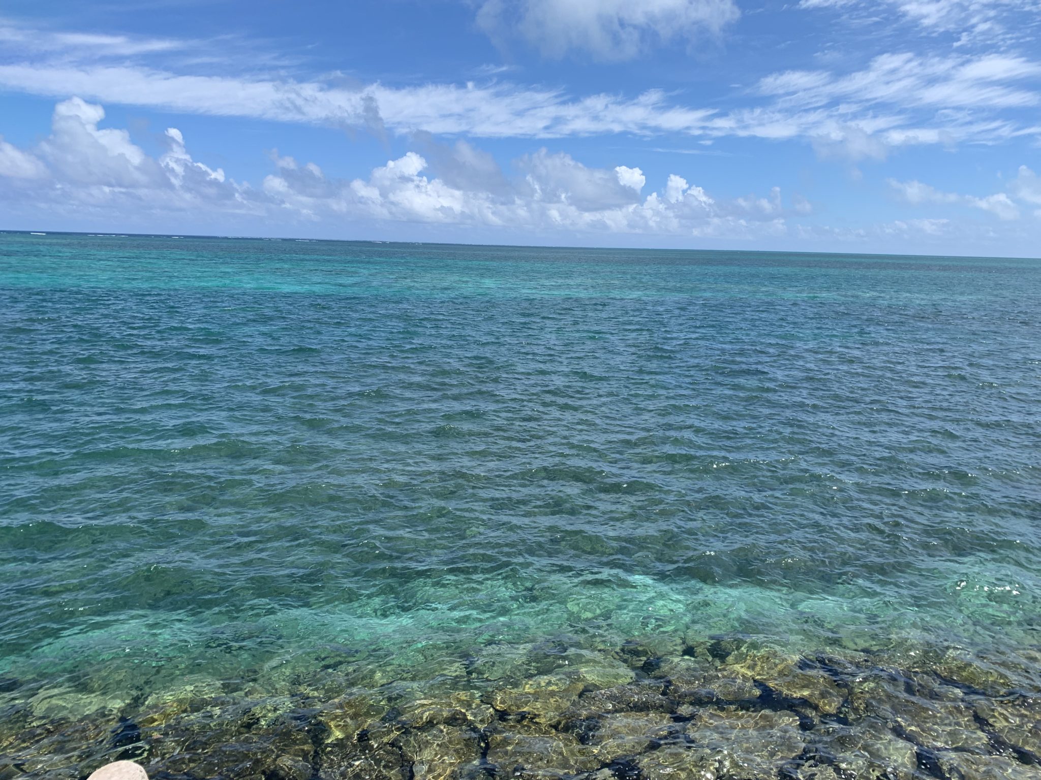 2019-06-29 14.38.48
