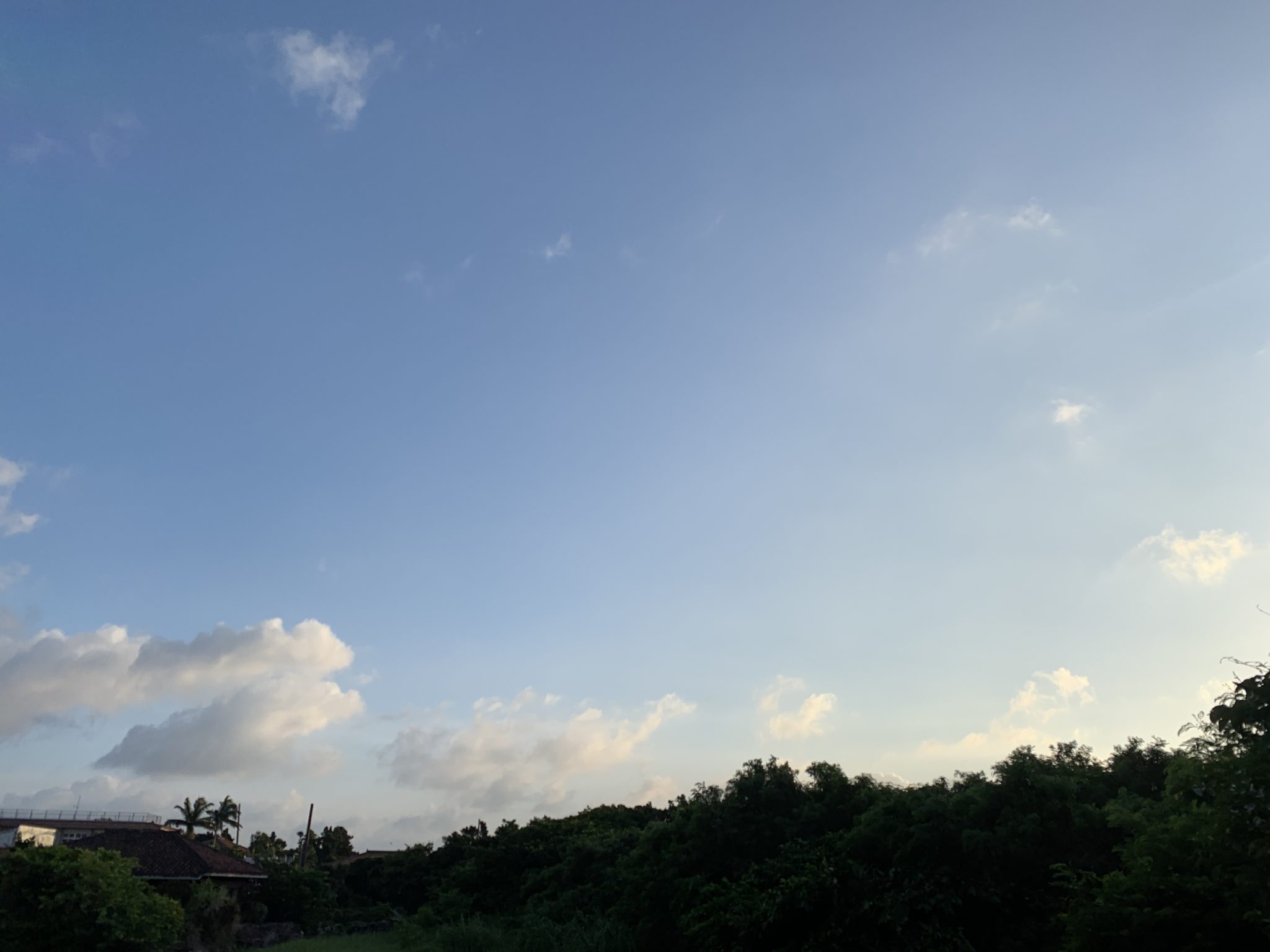 2019-07-13 06.37.47