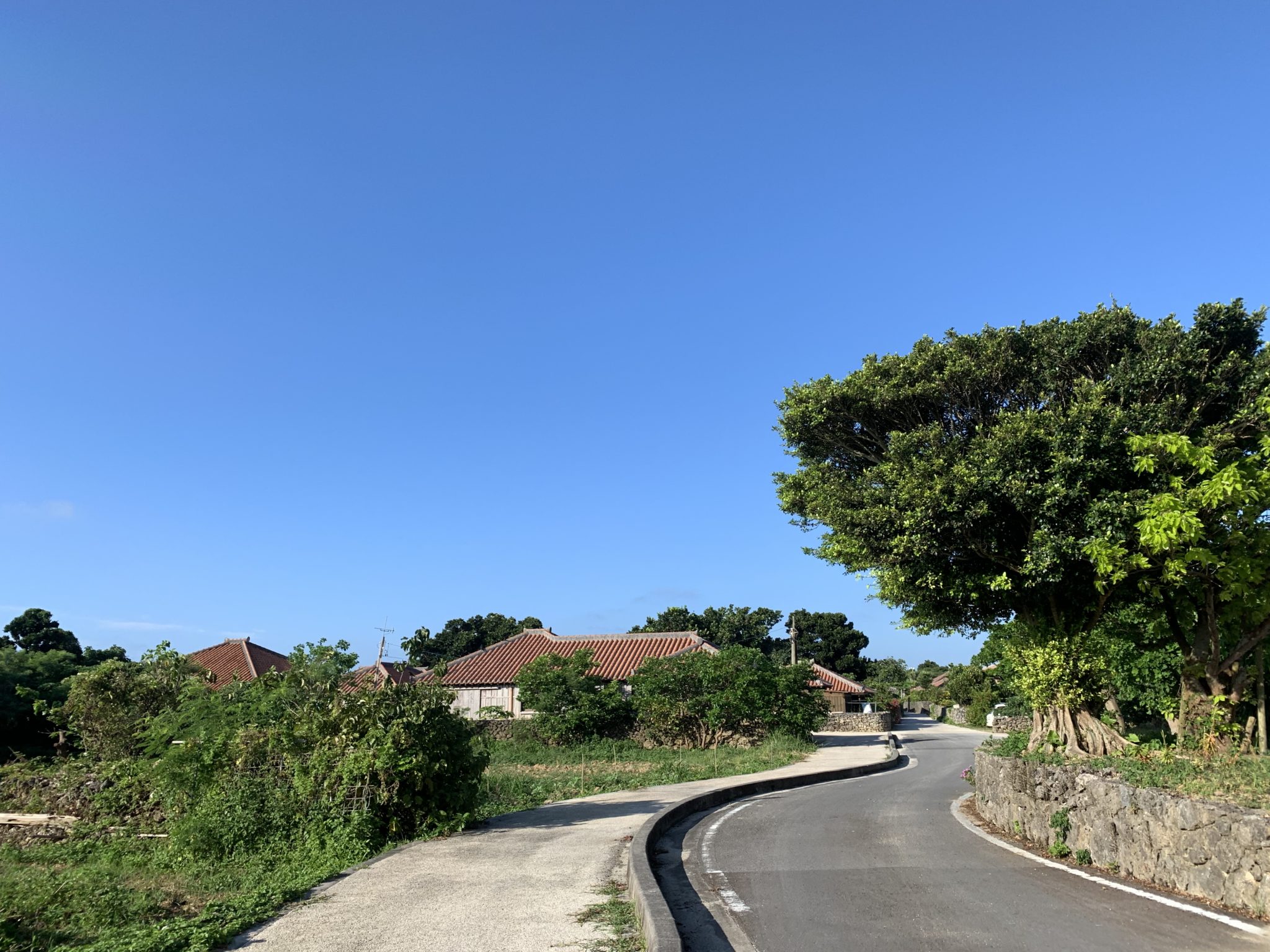 2019-07-15 07.47.56