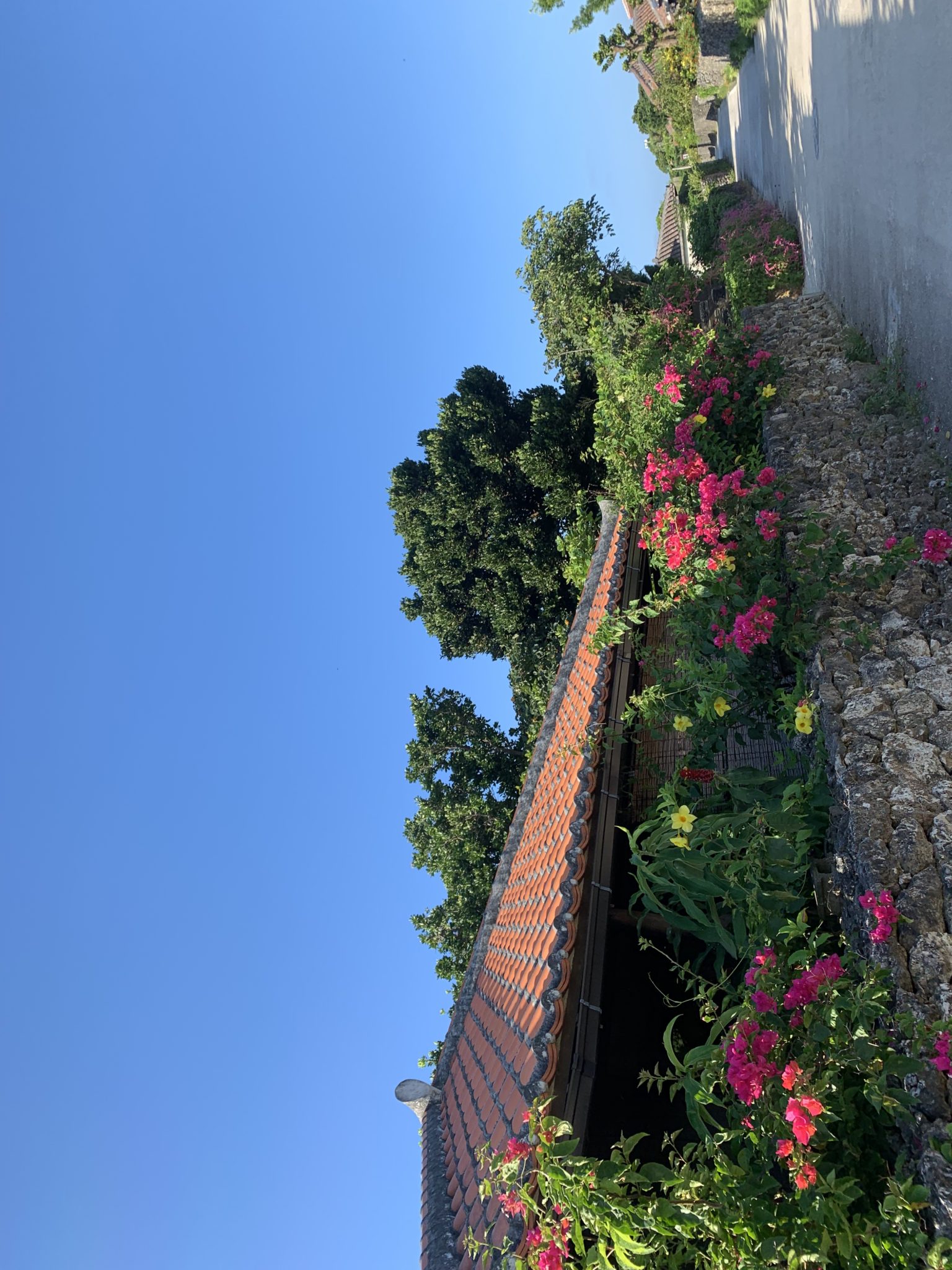 2019-07-15 07.48.08