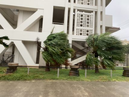 台風5号は去っていきました・・