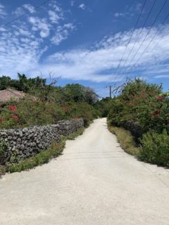 天気もよくお客さんも沢山来ています^^