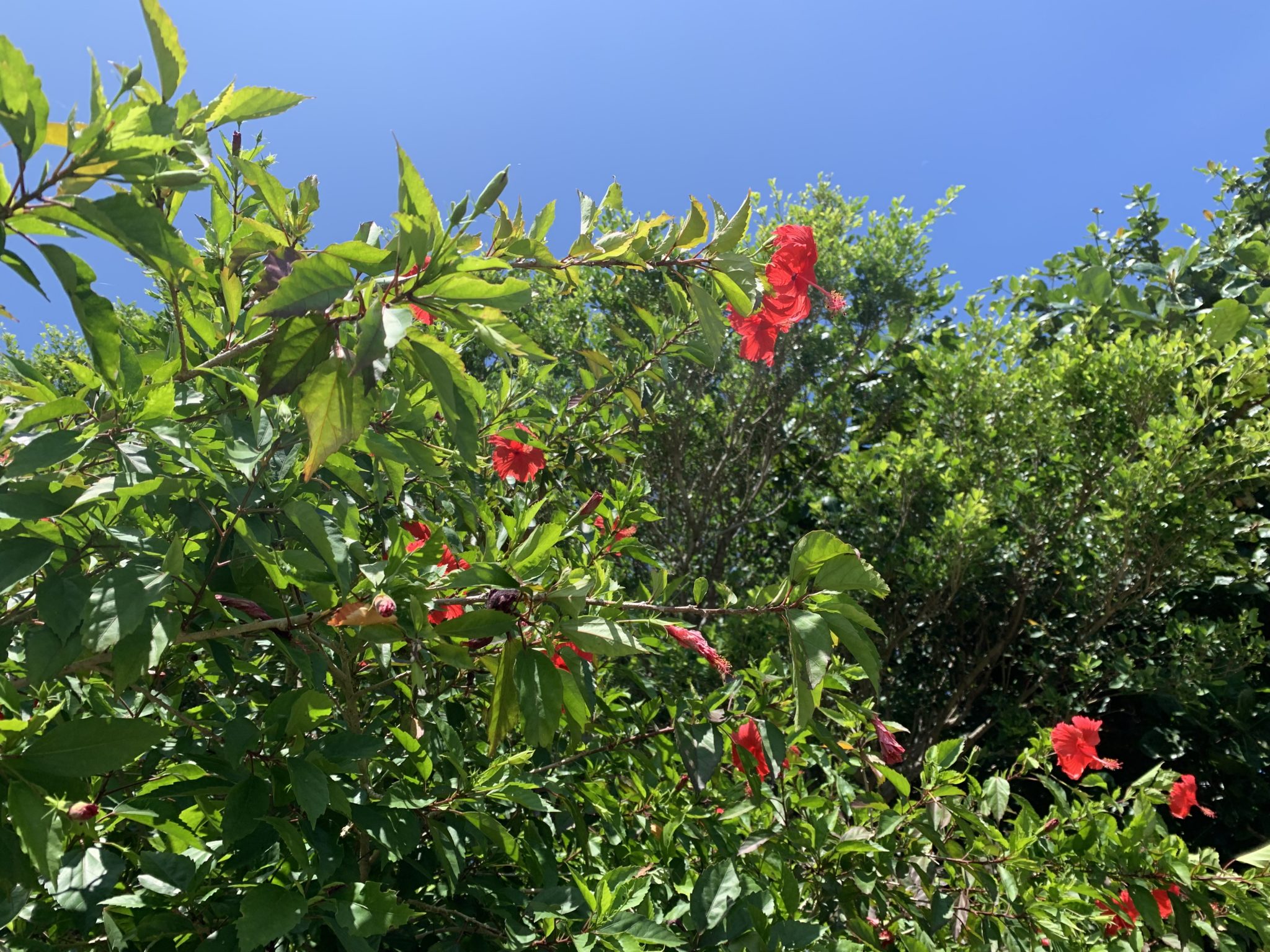 2019-07-28 11.57.13
