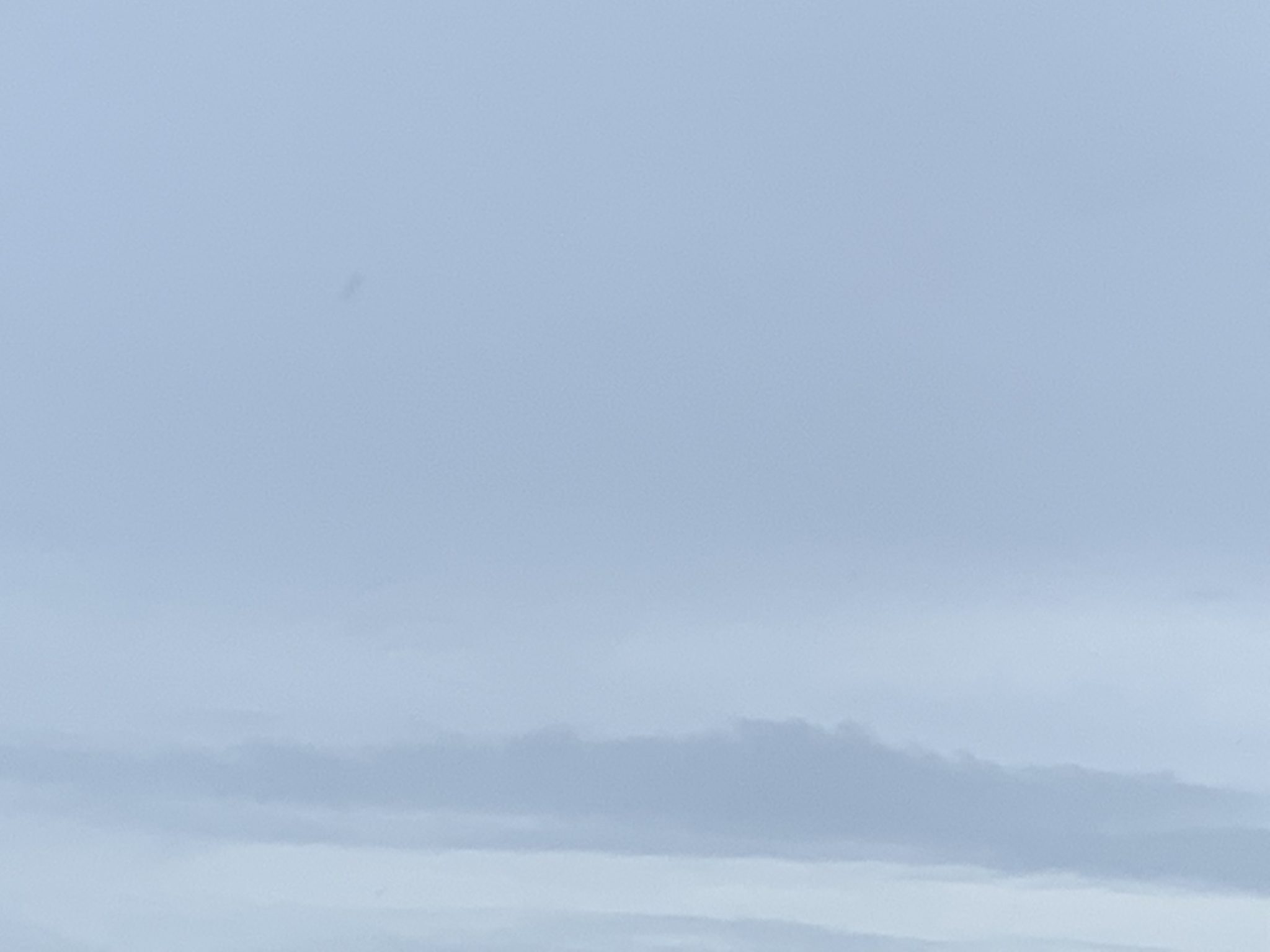 2019-08-09 08.28.05
