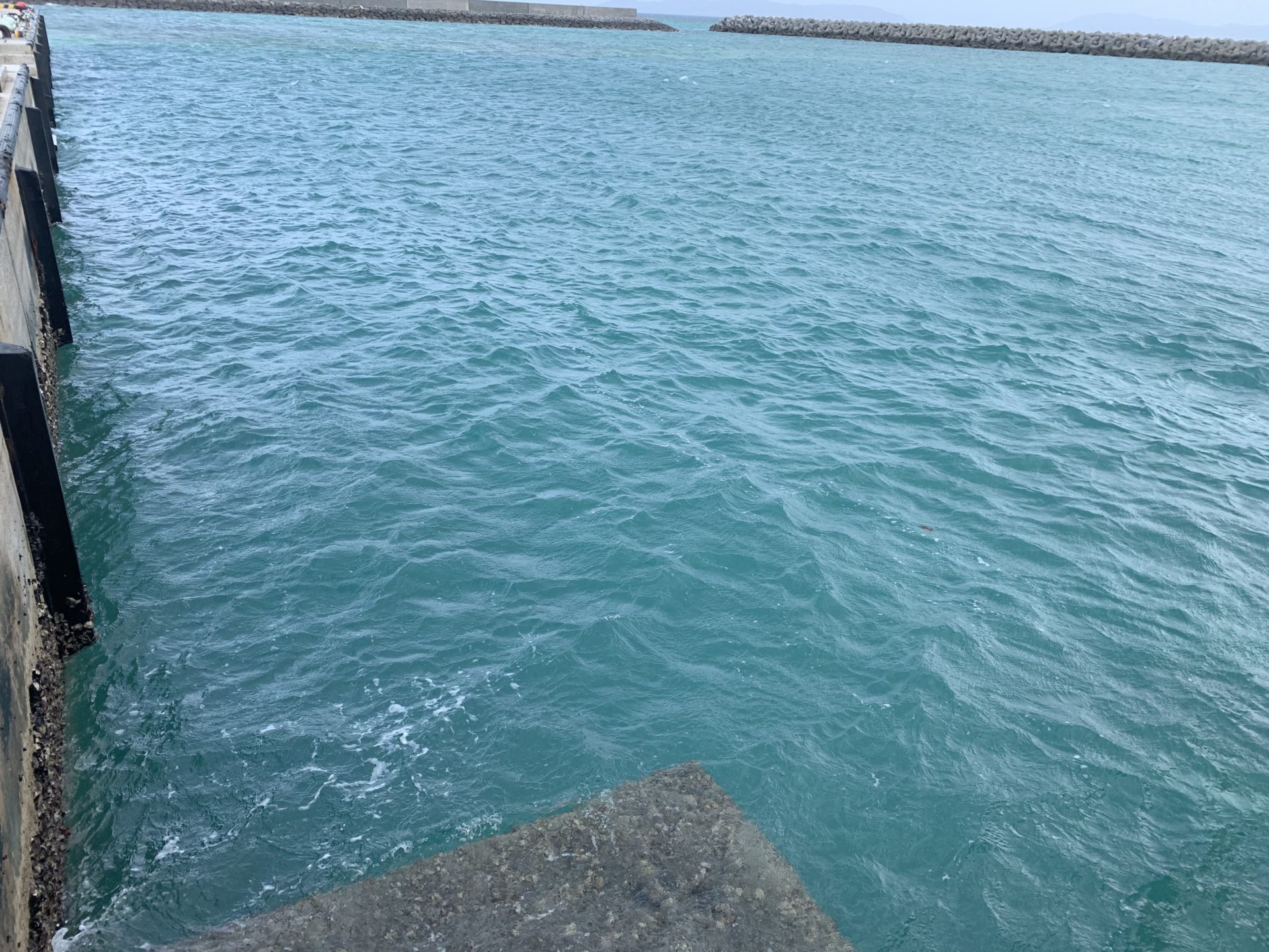 2019-08-24 09.08.53
