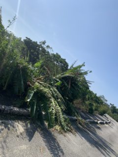 台風18号無事通過^^