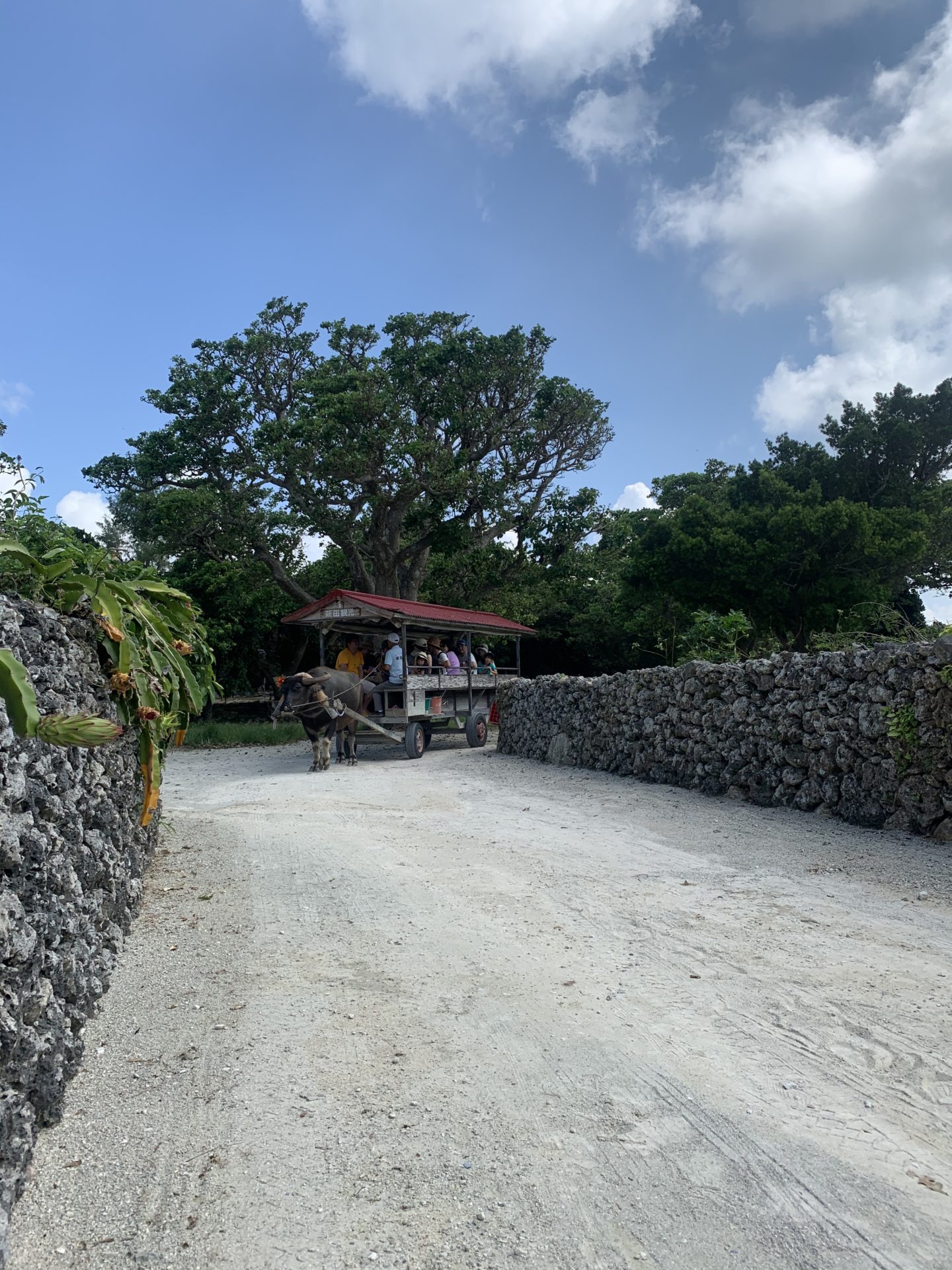 2019-10-05 10.52.32