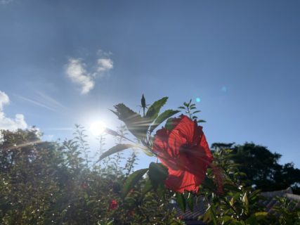 台風は大丈夫でしたか？