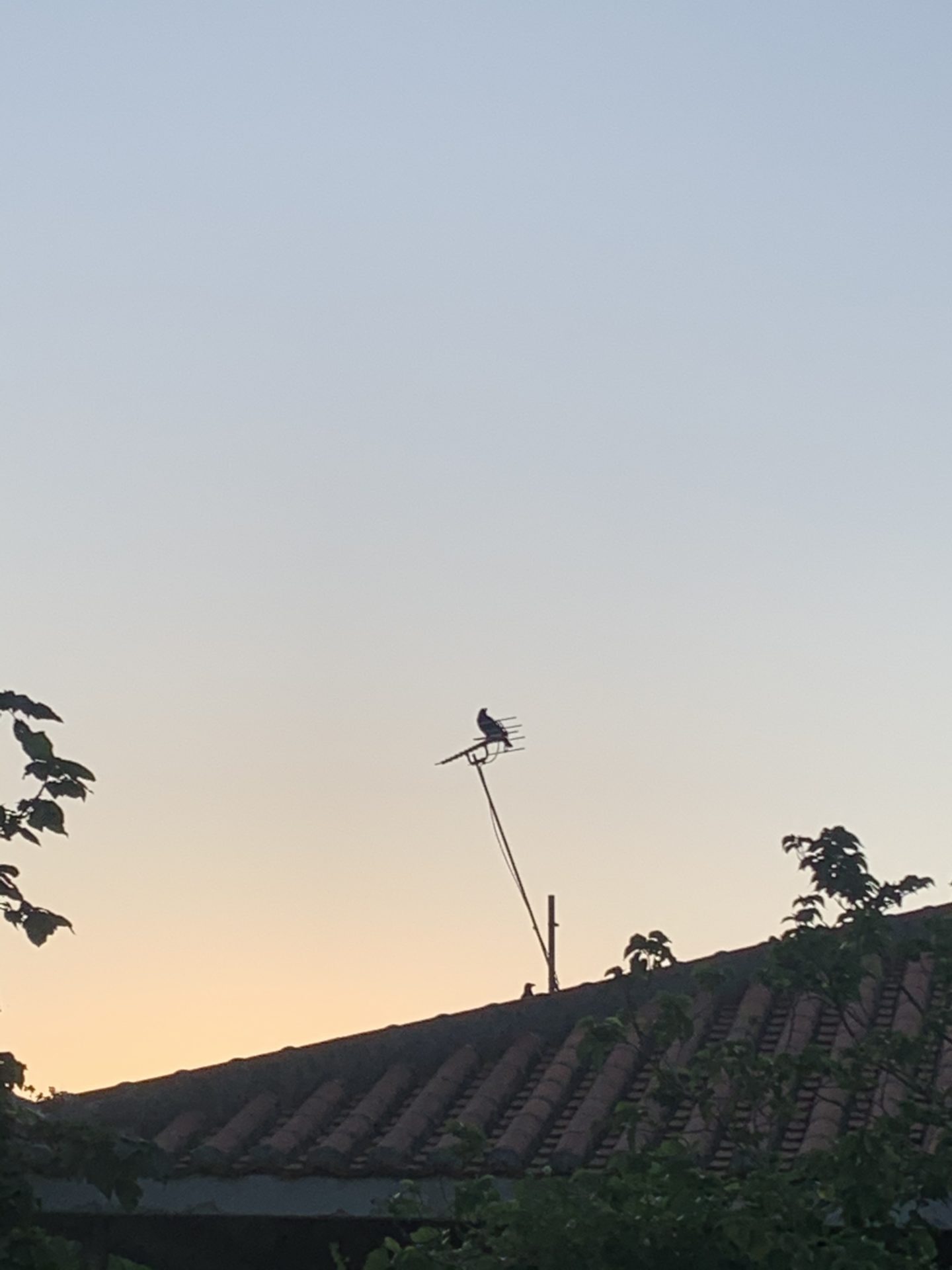 2019-10-22 07.01.41