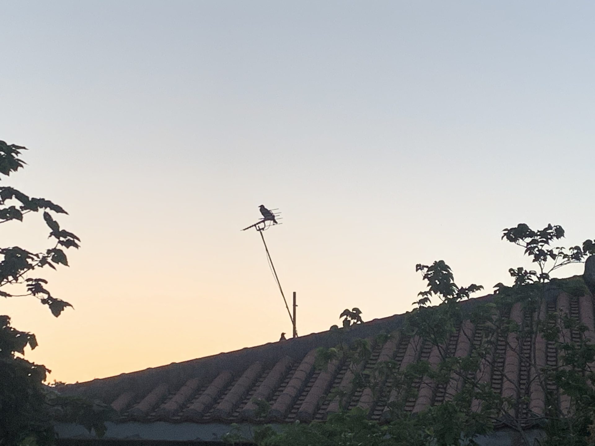 2019-10-22 07.01.47