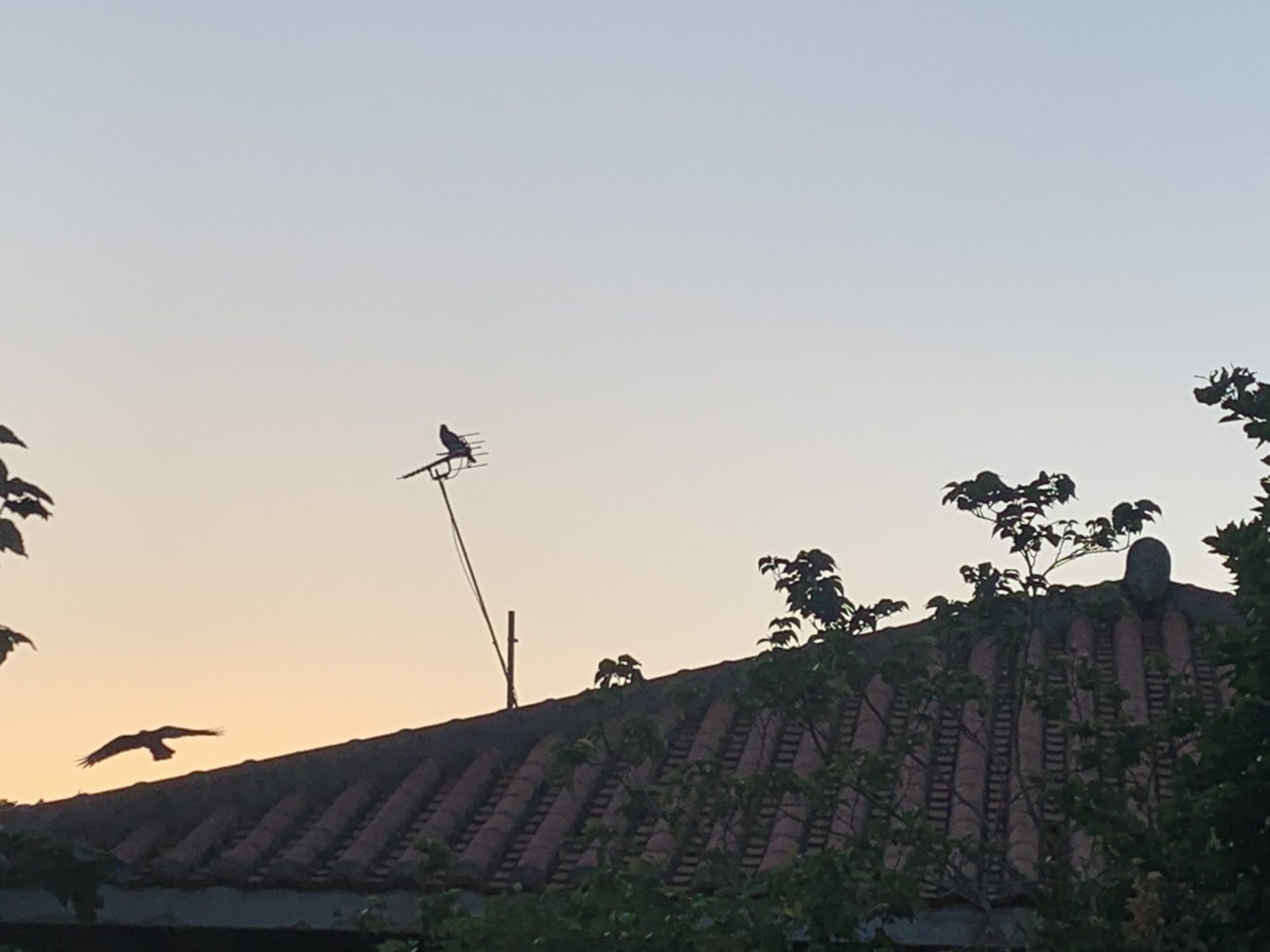 2019-10-22 07.01.49