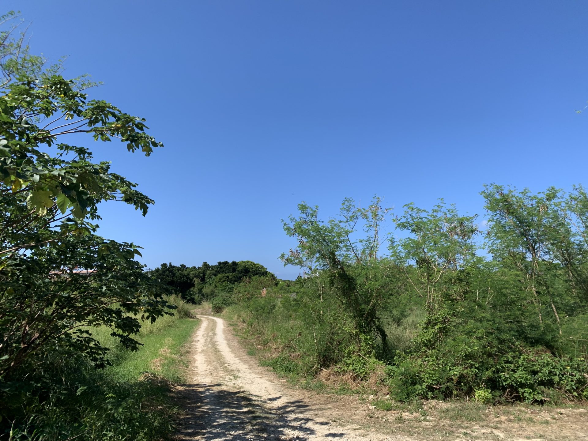 2019-10-25 13.46.44
