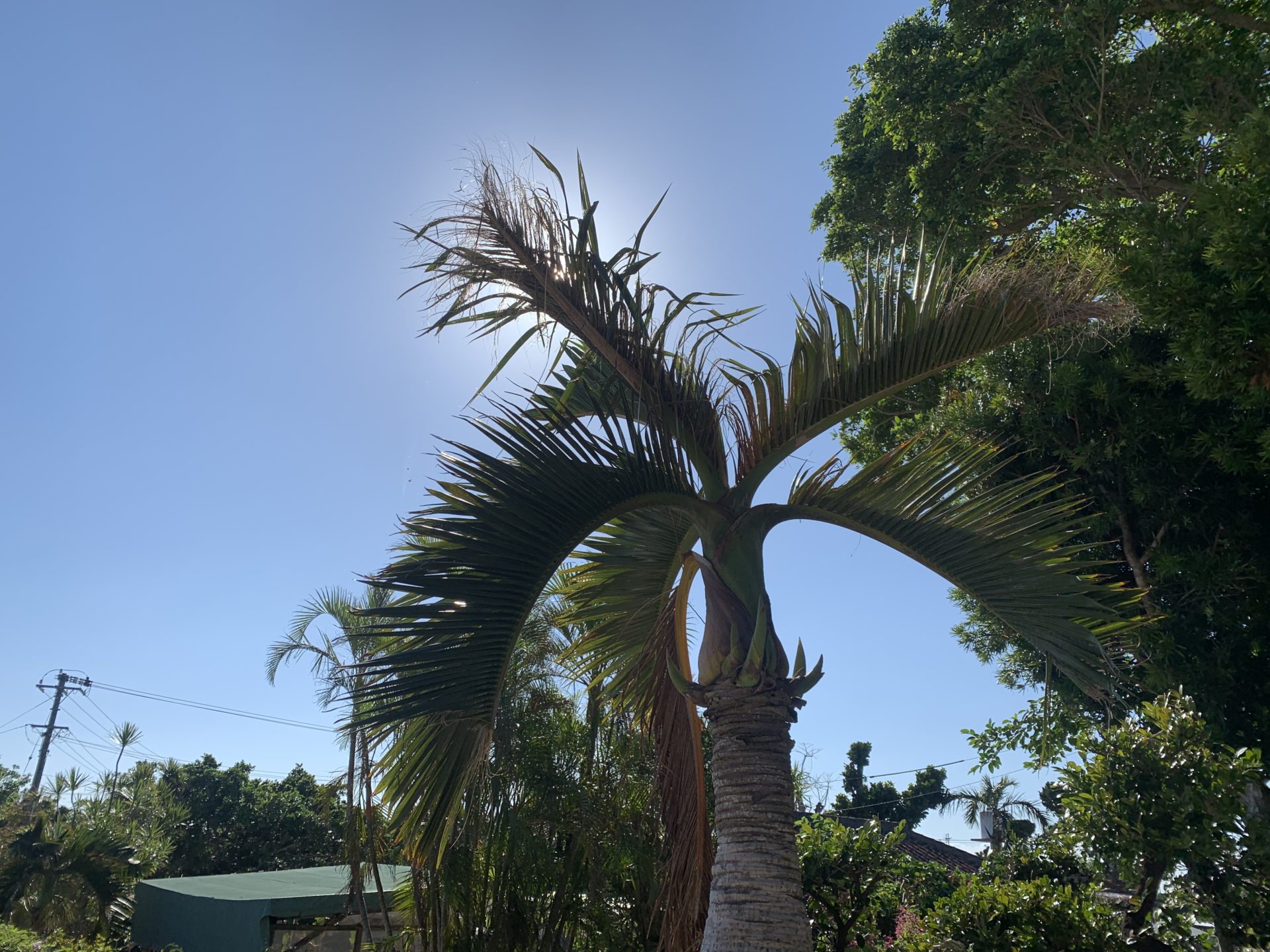 2019-10-25 15.23.36