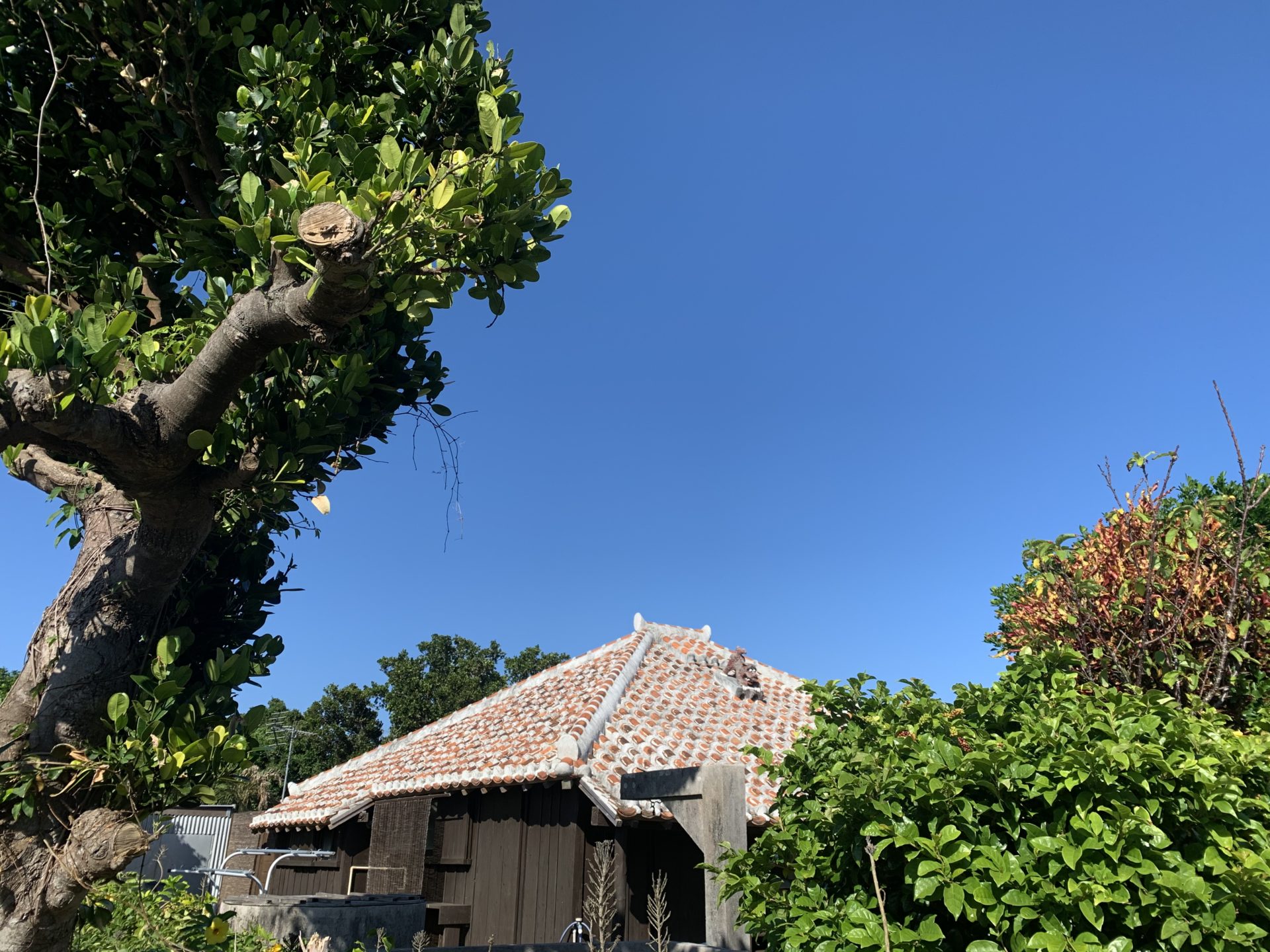 2019-10-25 15.24.29