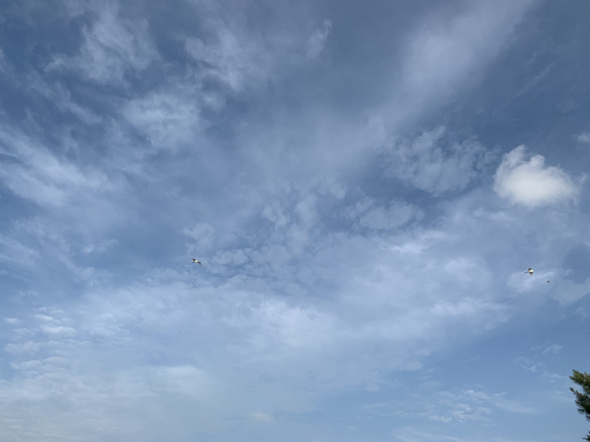 2019-11-01 07.42.23