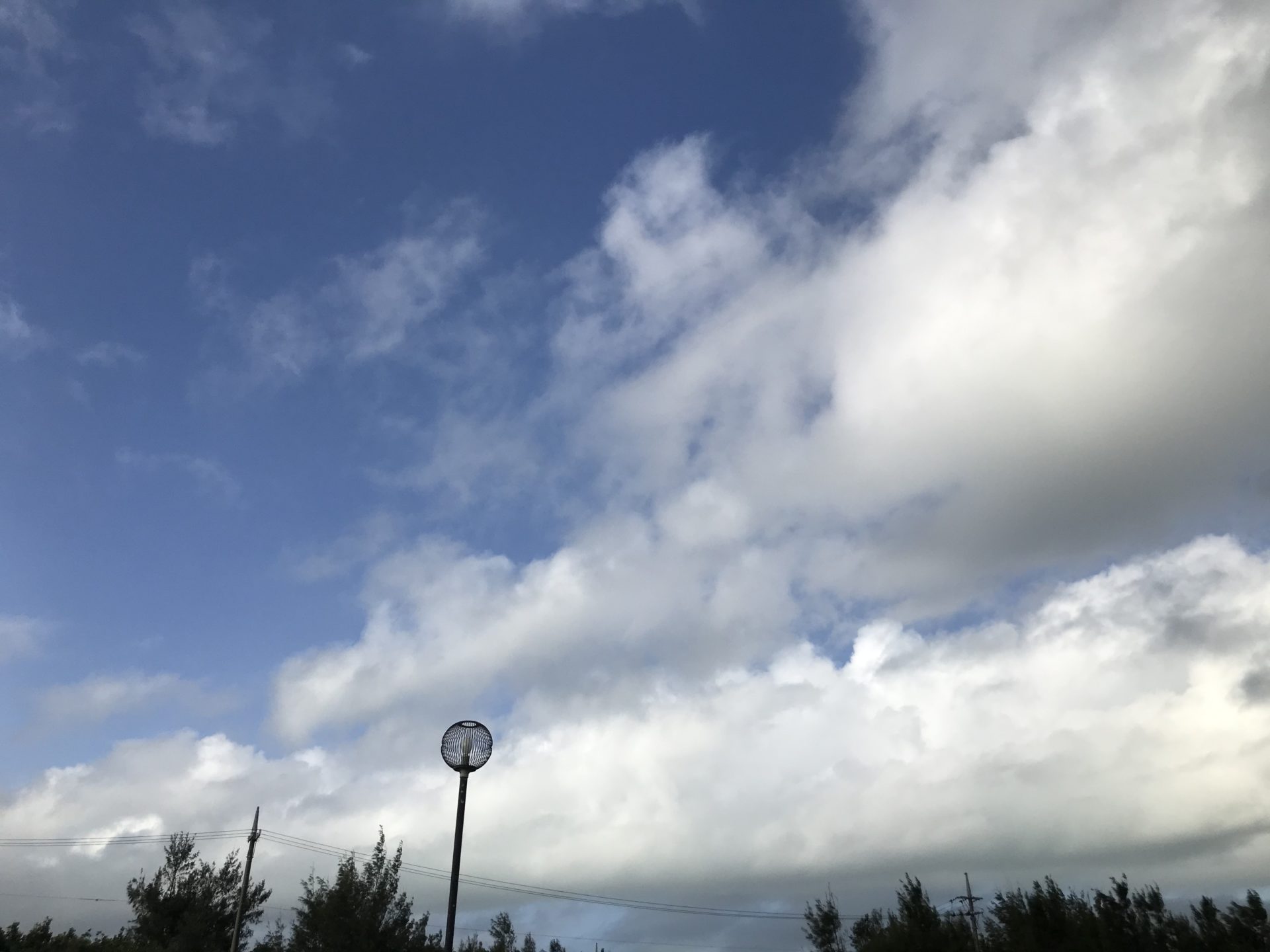 2019-11-18 08.44.17