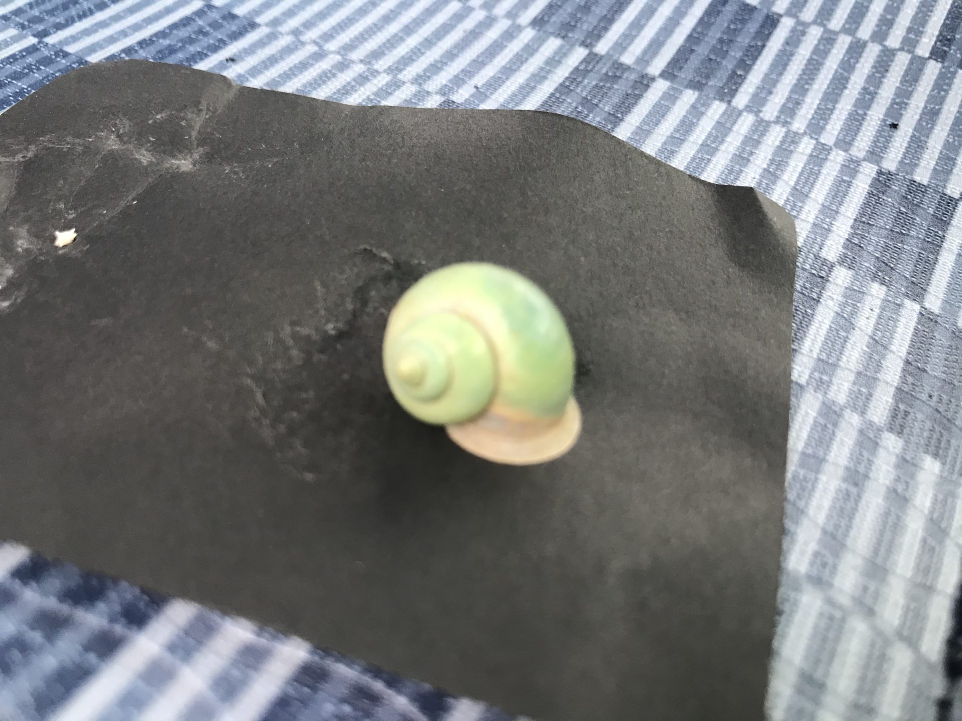 2019-11-20 10.32.10