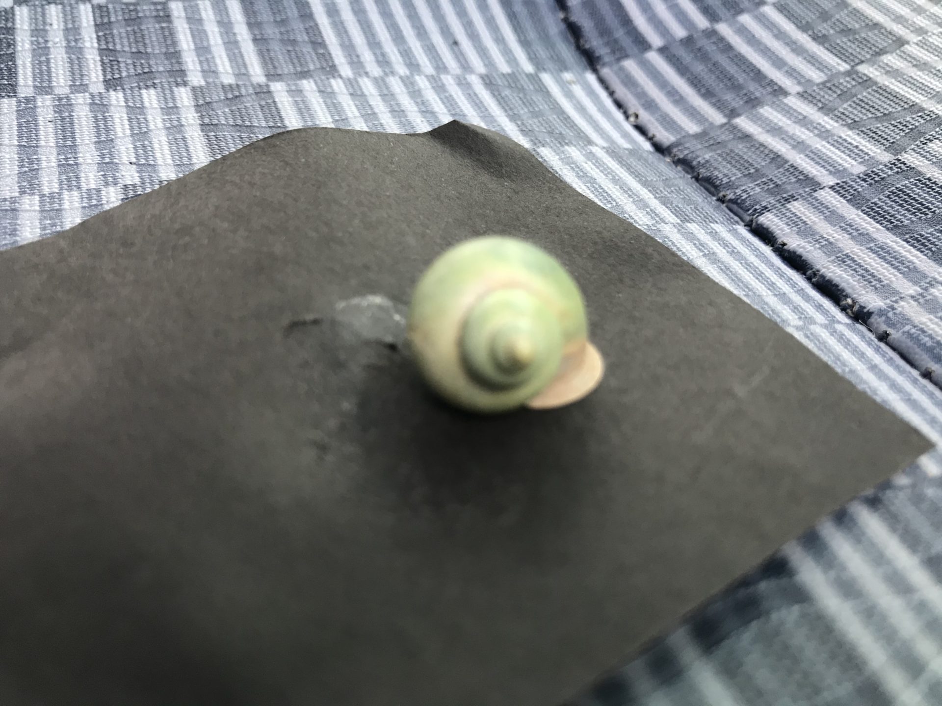 2019-11-20 10.32.17