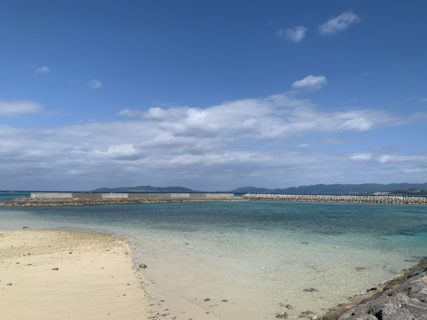 プチ台風も去って・・