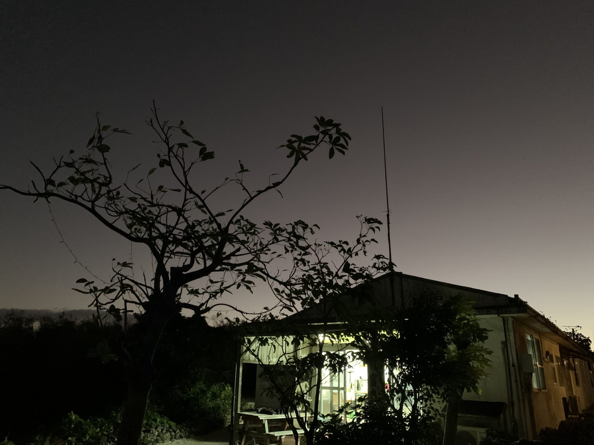 2019-12-15 06.41.45