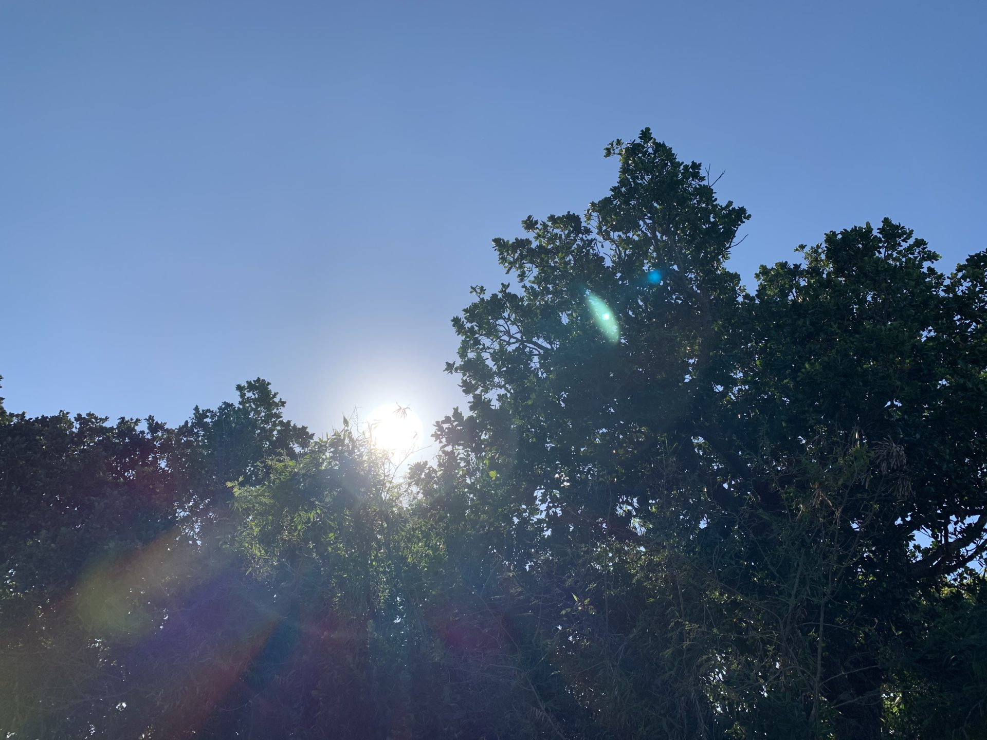 2019-12-15 15.49.08