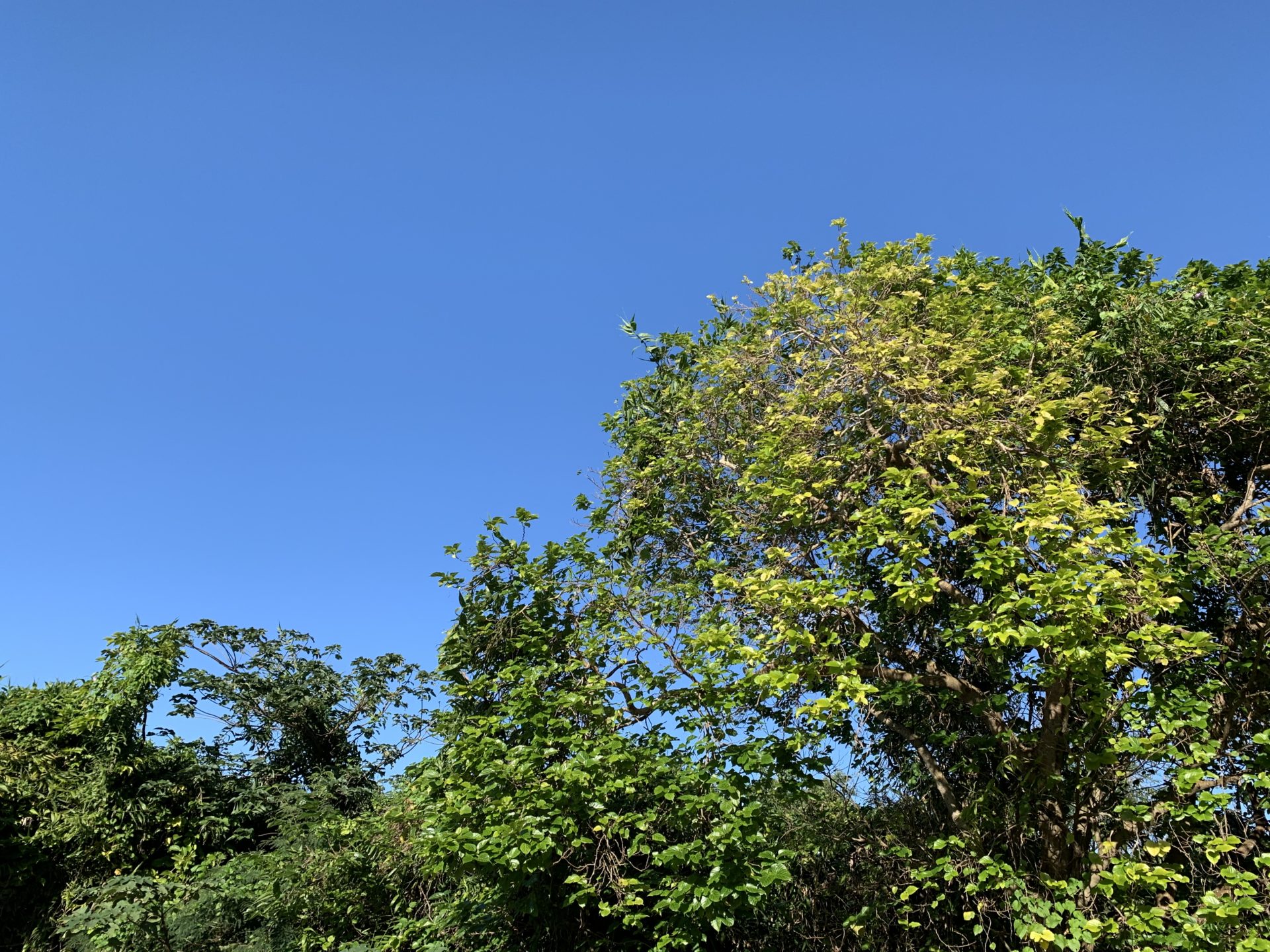 2019-12-15 15.49.27