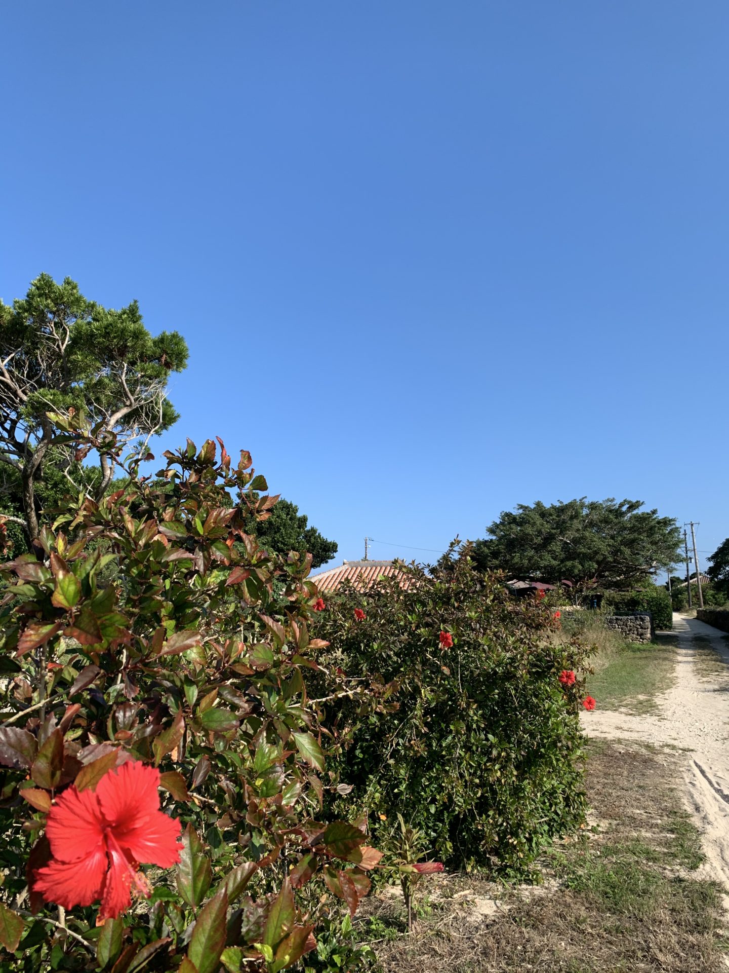 2019-12-16 09.52.36
