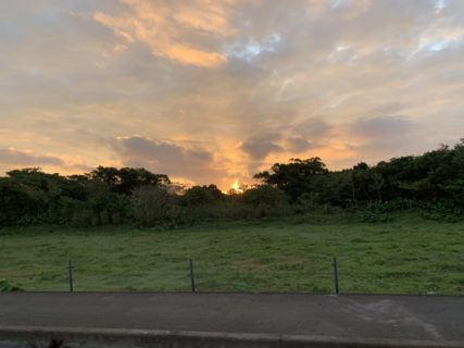 昨日の雨はなんだったんでしょうか・・