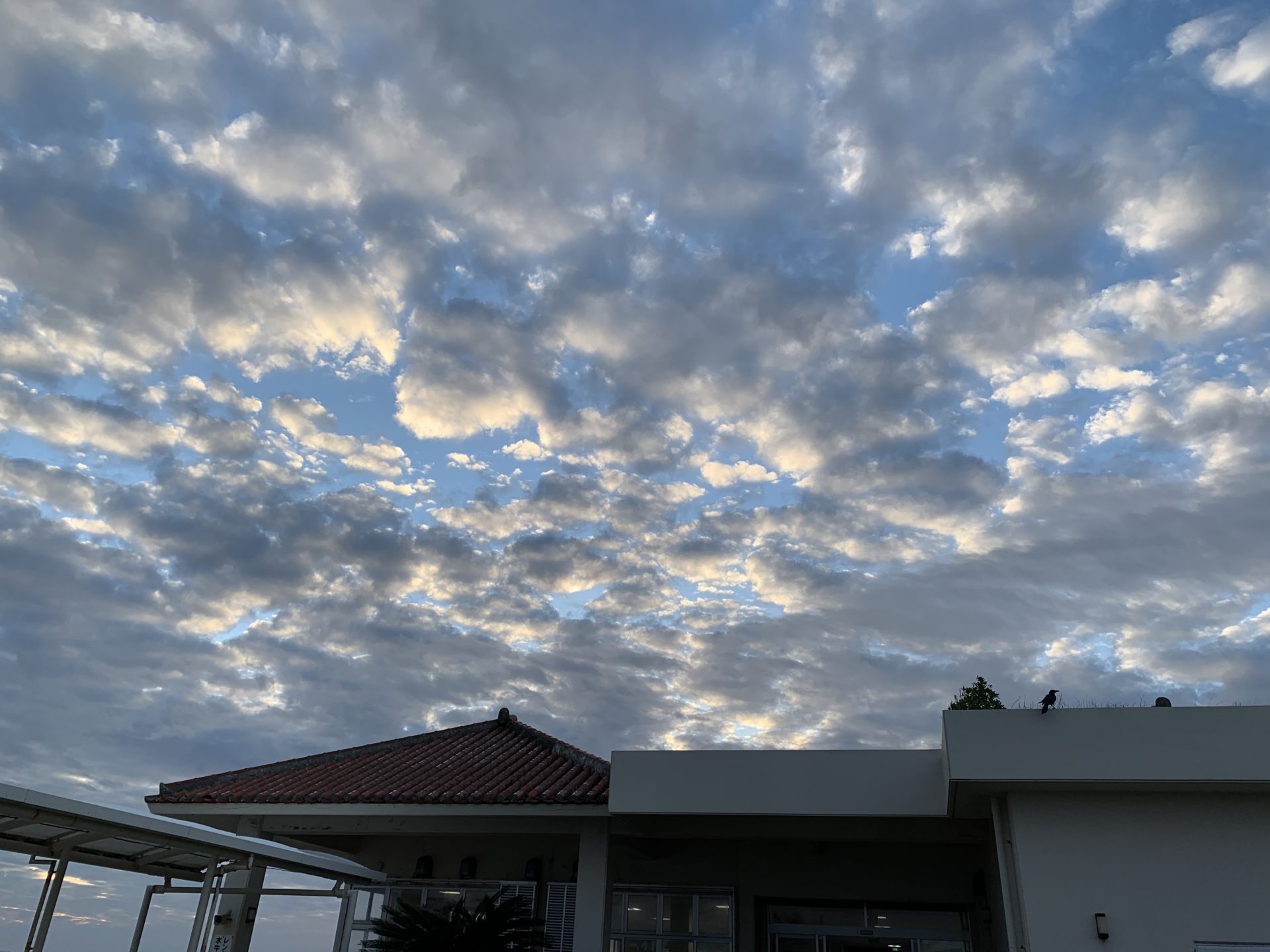 2019-12-26 07.47.25