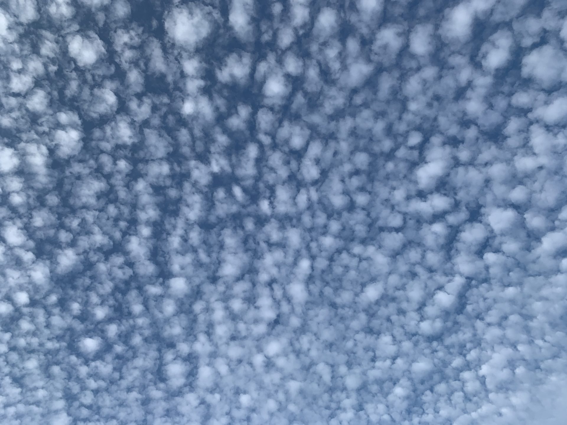 2020-01-06 08.25.06