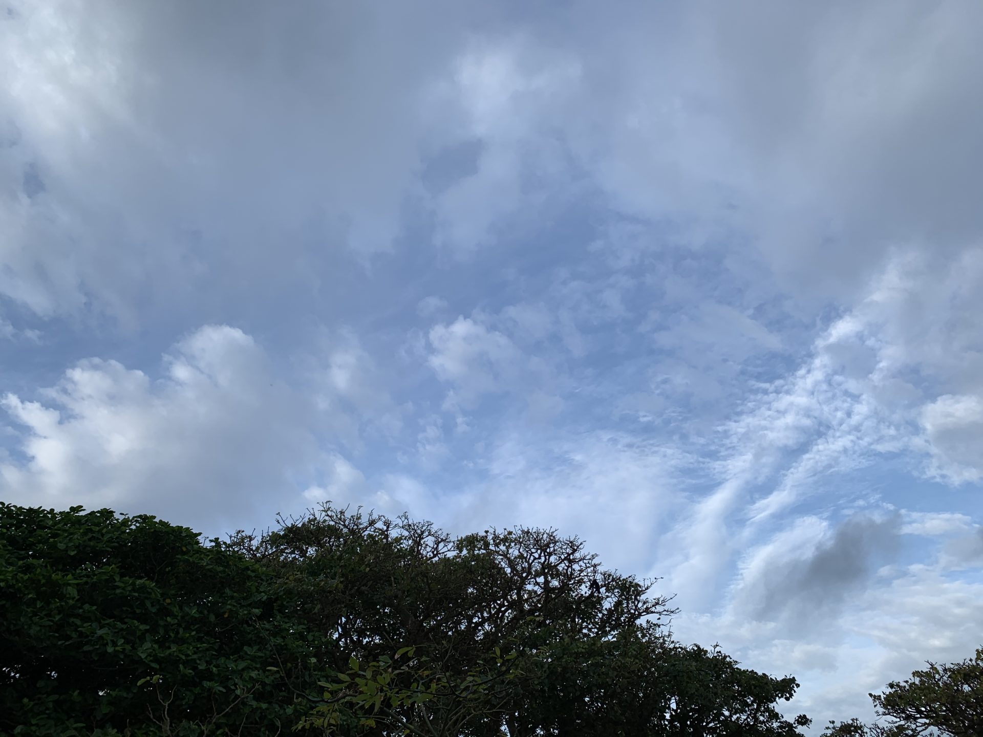 2020-01-26 08.20.03