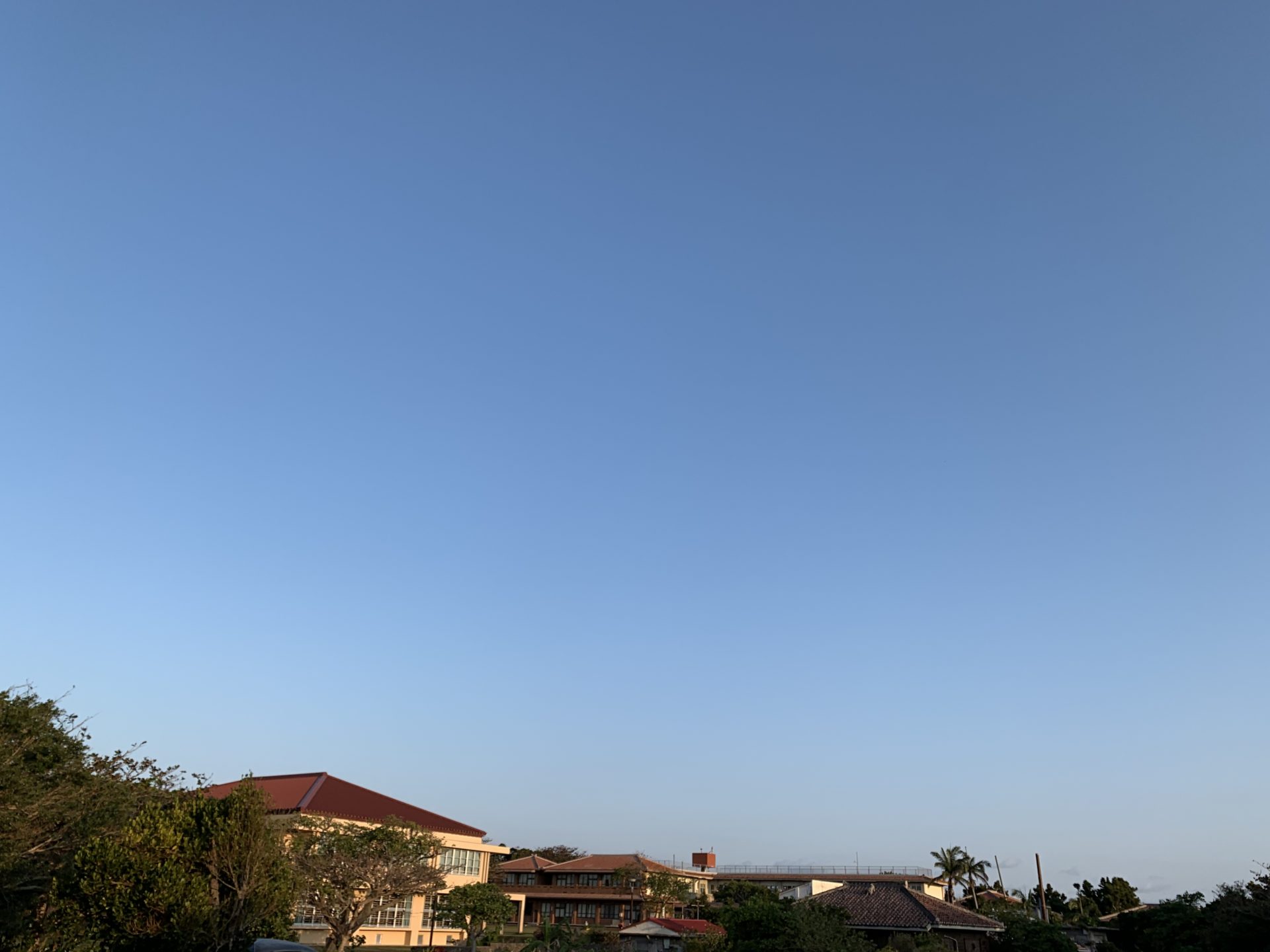 2020-02-03 08.00.54