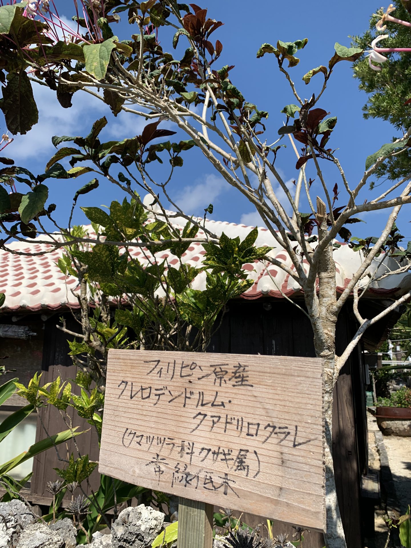 2020-02-04 12.56.01