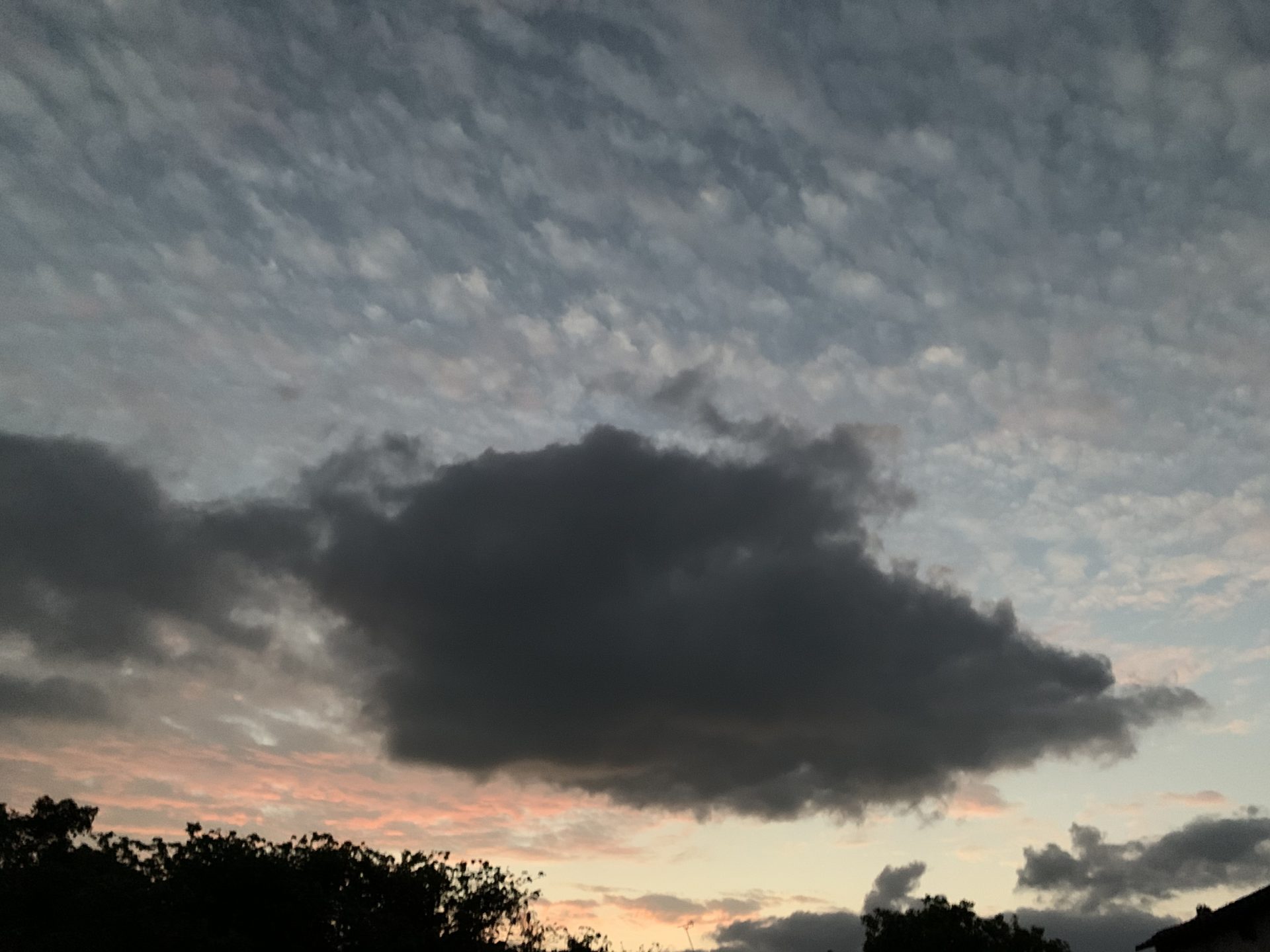 2020-02-11 06.55.57