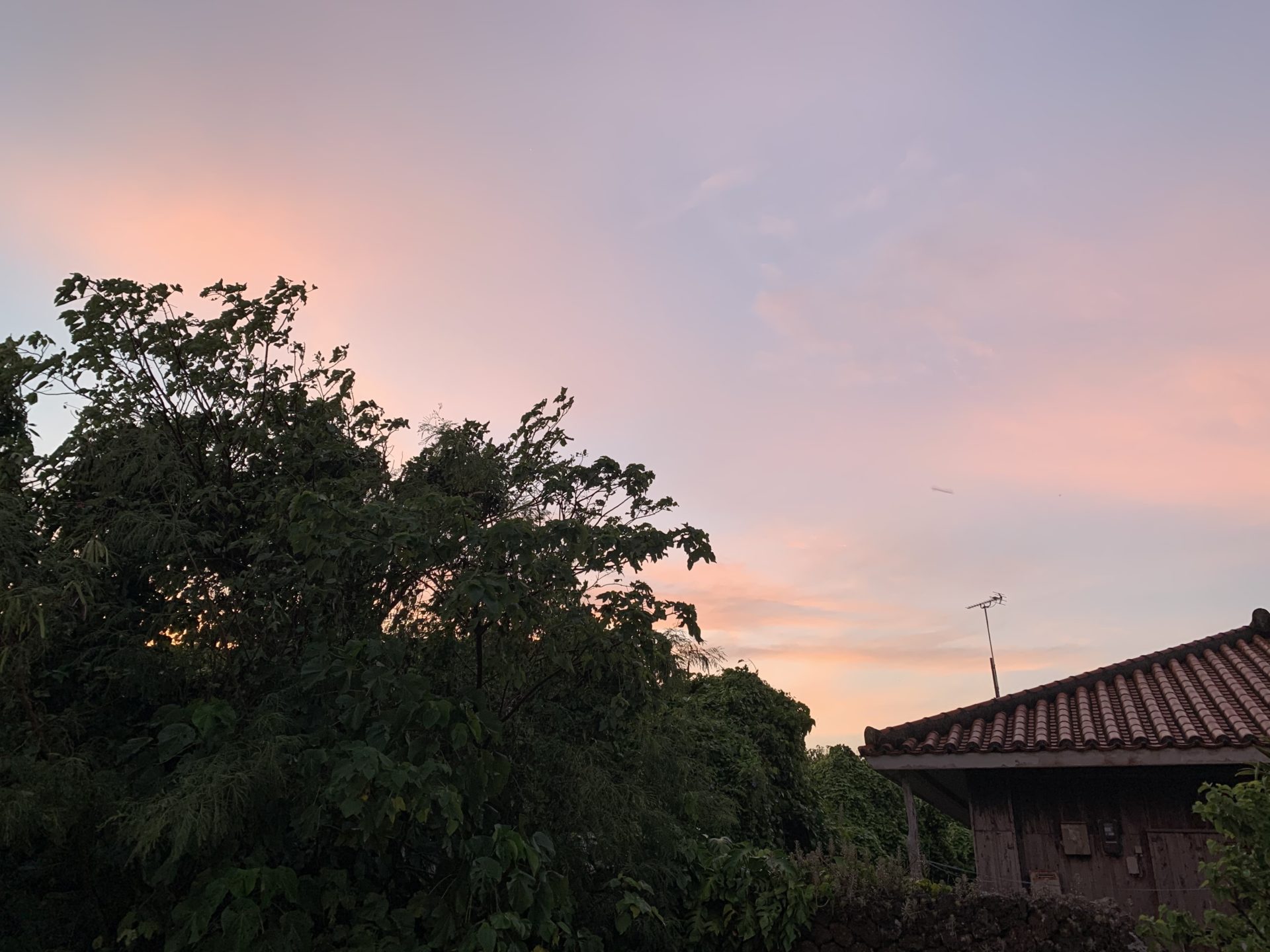 2020-08-05 06.08.15